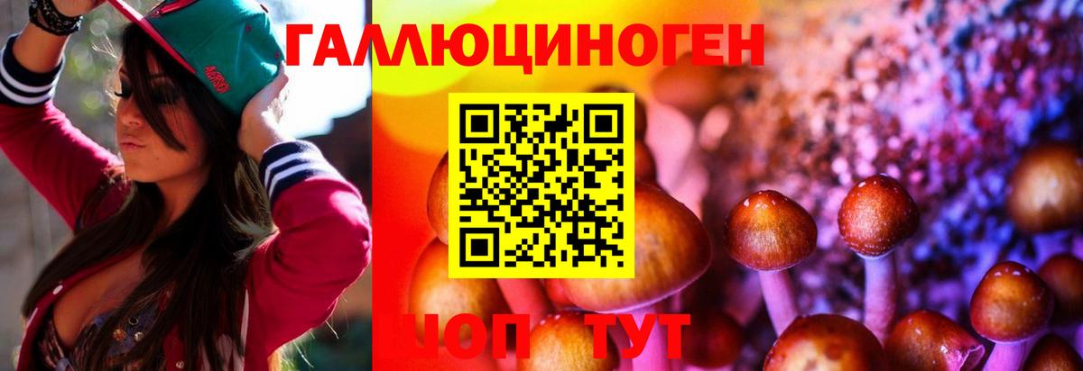 Галлюциногенные грибы ЛСД Павлово